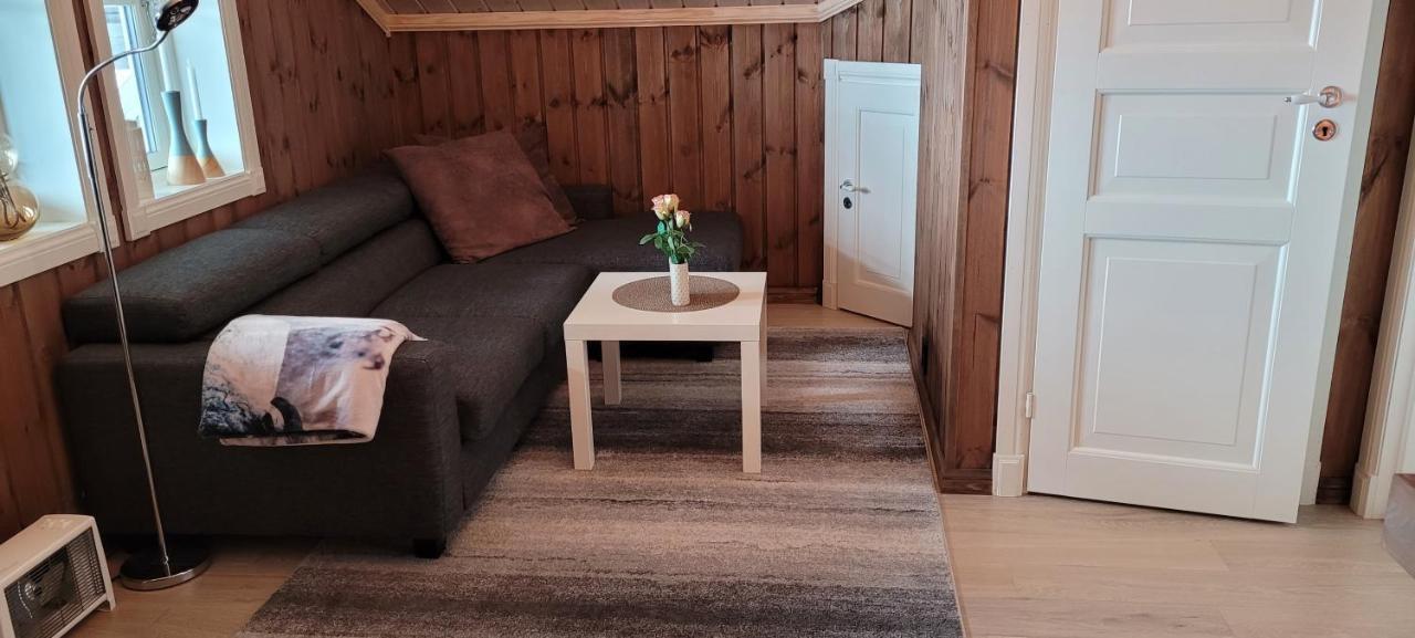 Wonderful Cabin With Amazing Mountain - View Lifjell Extérieur photo