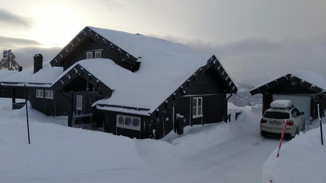 Wonderful Cabin With Amazing Mountain - View Lifjell Extérieur photo