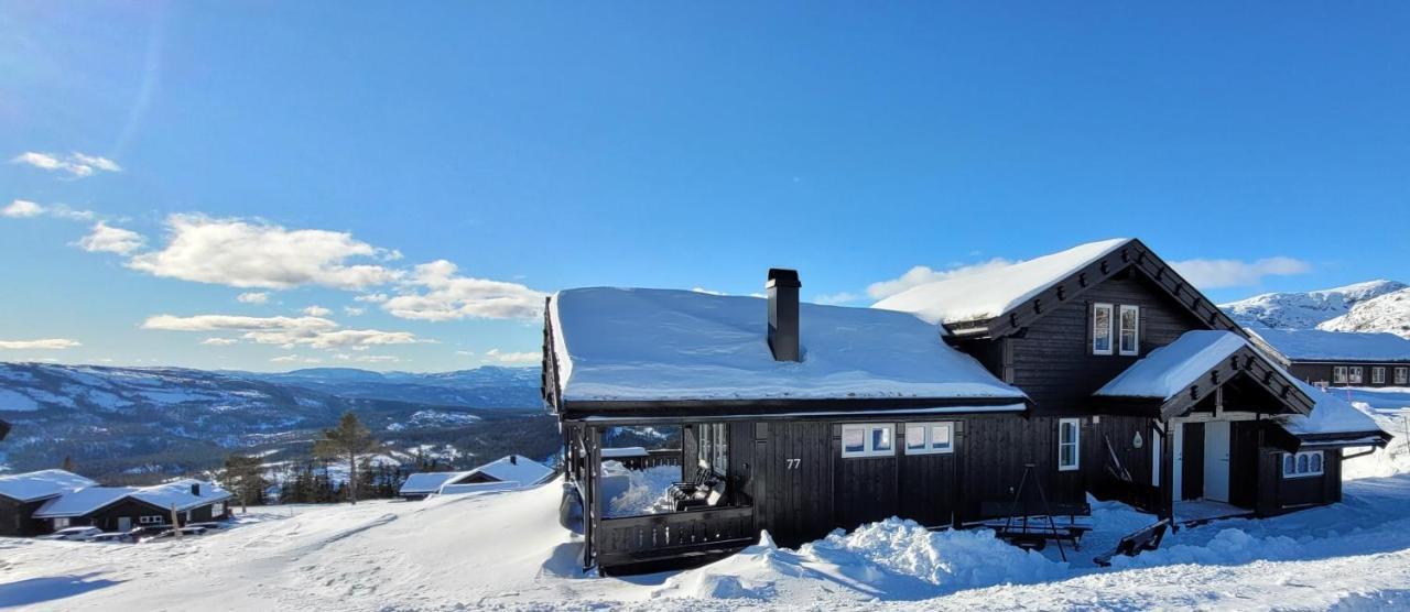 Wonderful Cabin With Amazing Mountain - View Lifjell Extérieur photo